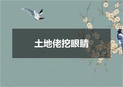 土地佬挖眼睛