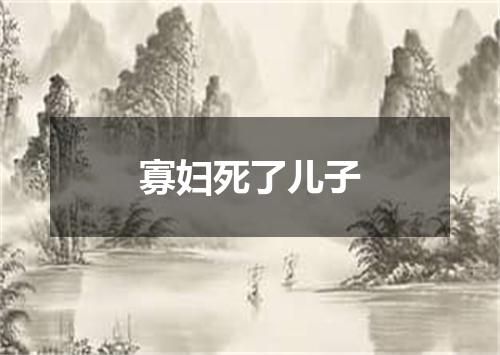 寡妇死了儿子