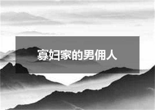 寡妇家的男佣人