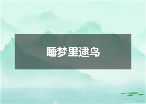 睡梦里逮鸟