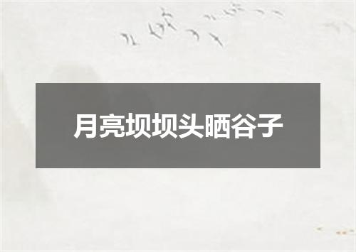 月亮坝坝头晒谷子