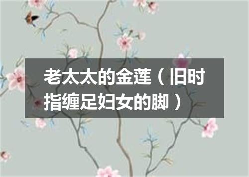老太太的金莲（旧时指缠足妇女的脚）