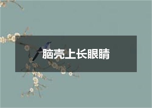 脑壳上长眼睛