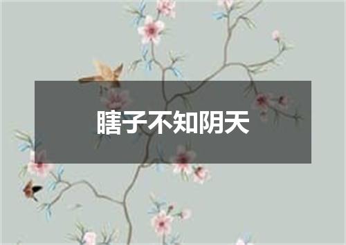 瞎子不知阴天