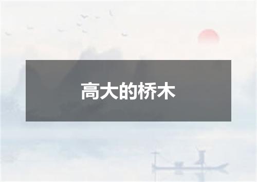 高大的桥木