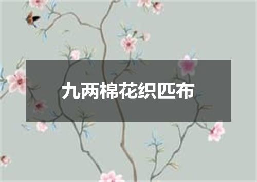 九两棉花织匹布
