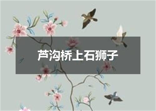 芦沟桥上石狮子