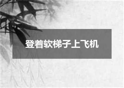 登着软梯子上飞机