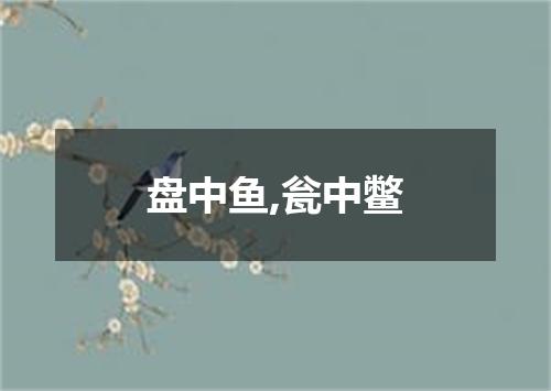 盘中鱼,瓮中鳖