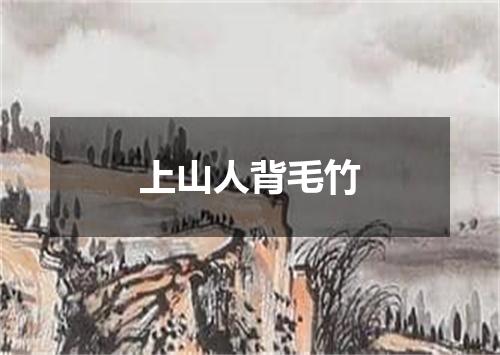 上山人背毛竹