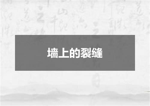 墙上的裂缝