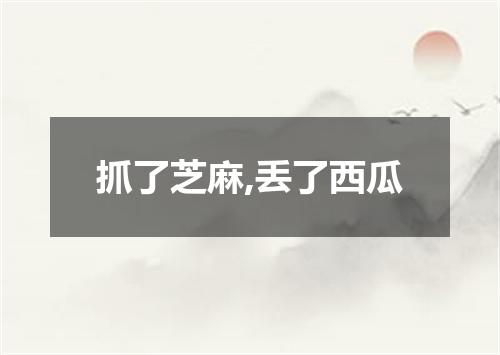 抓了芝麻,丢了西瓜