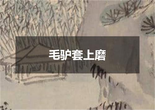 毛驴套上磨