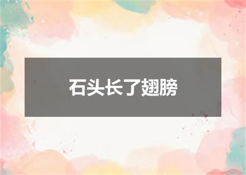 石头长了翅膀