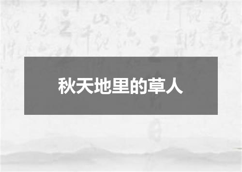 秋天地里的草人