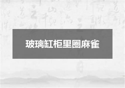 玻璃缸柜里圈麻雀