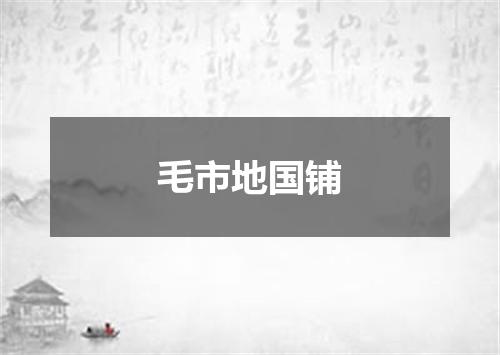 毛市地国铺