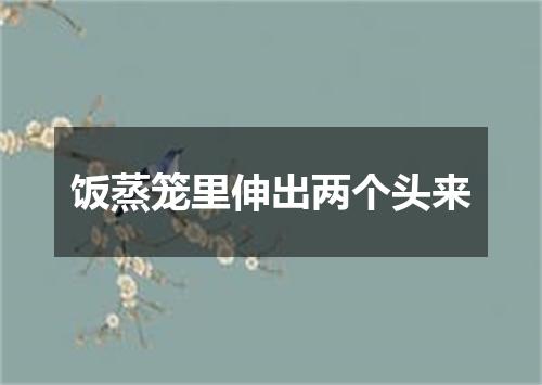 饭蒸笼里伸出两个头来