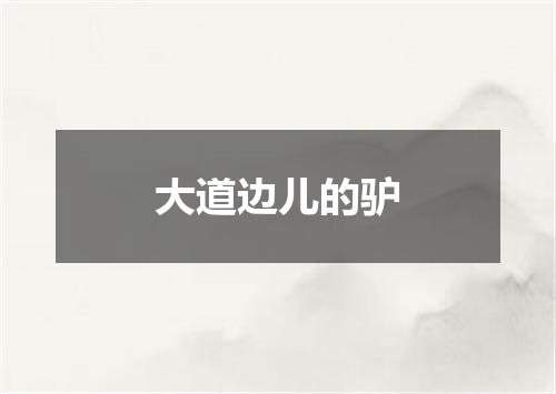 大道边儿的驴