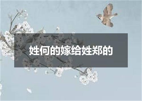 姓何的嫁给姓郑的