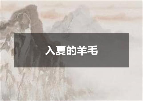 入夏的羊毛