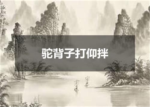 驼背子打仰拌