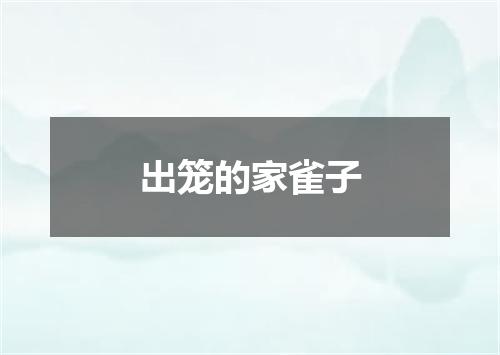 出笼的家雀子