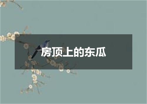 房顶上的东瓜