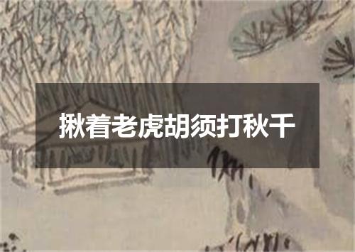揪着老虎胡须打秋千