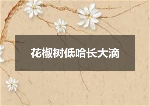 花椒树低哈长大滴