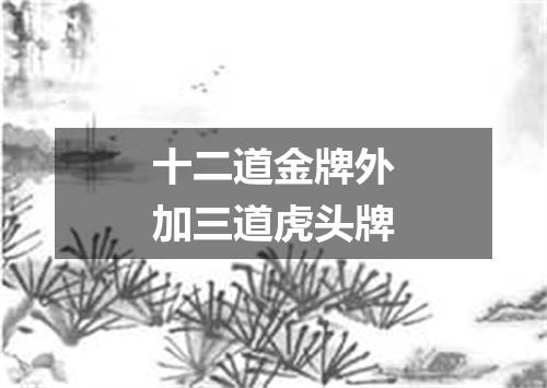 十二道金牌外加三道虎头牌