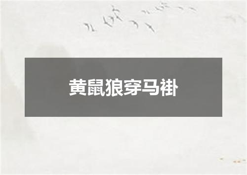 黄鼠狼穿马褂