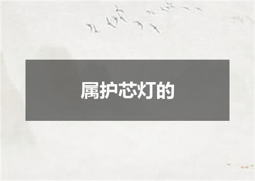 属护芯灯的