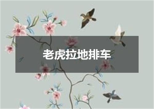 老虎拉地排车