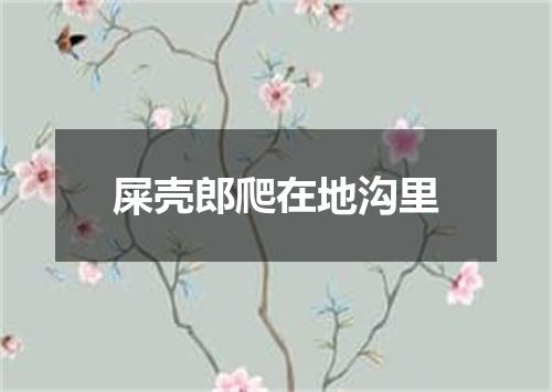 屎壳郎爬在地沟里