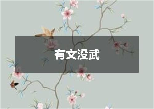 有文没武