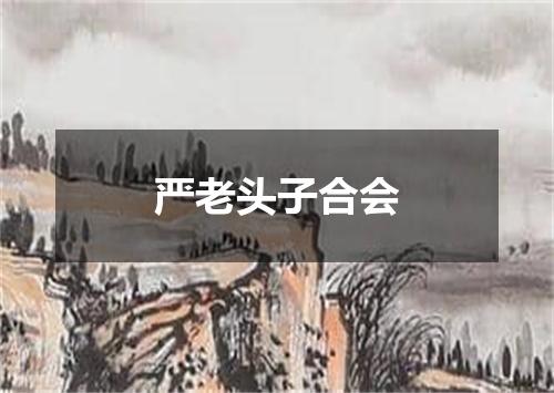 严老头子合会