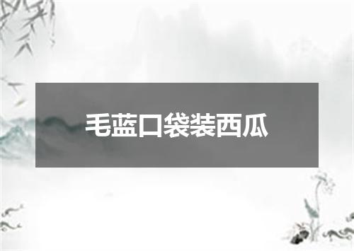 毛蓝口袋装西瓜