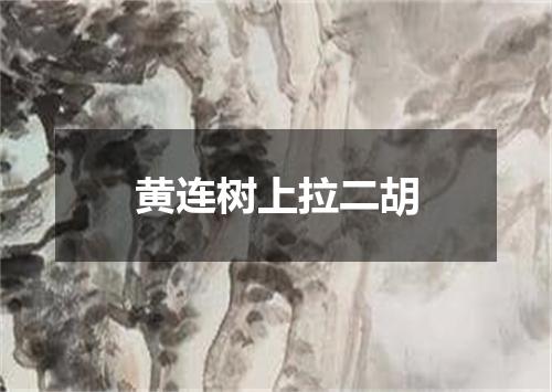 黄连树上拉二胡