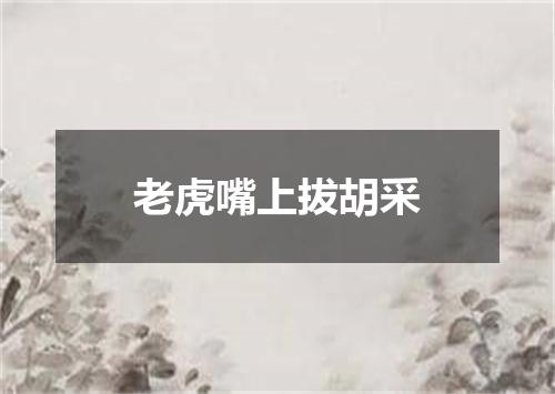 老虎嘴上拔胡采