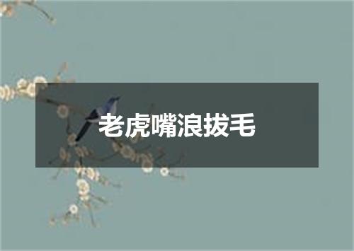 老虎嘴浪拔毛