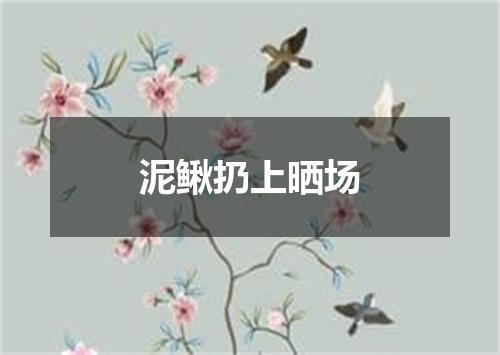 泥鳅扔上晒场
