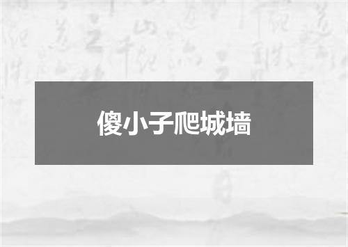 傻小子爬城墙