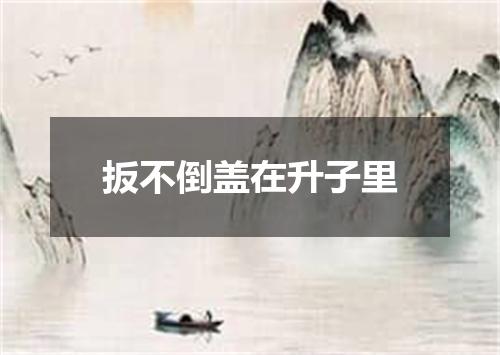 扳不倒盖在升子里