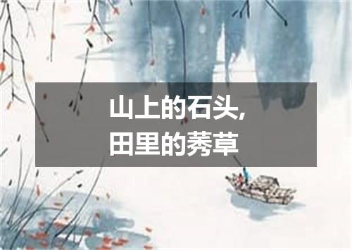 山上的石头,田里的莠草