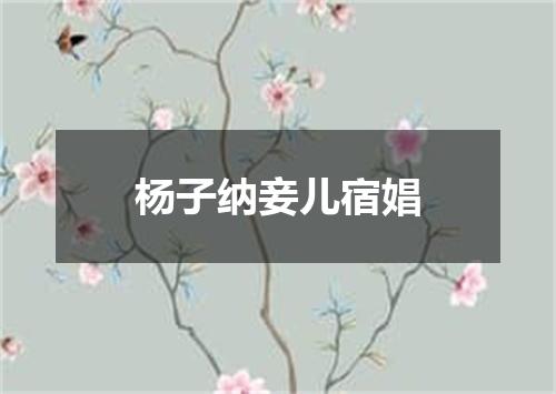杨子纳妾儿宿娼