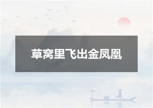 草窝里飞出金凤凰