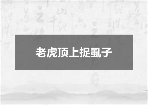 老虎顶上捉虱子