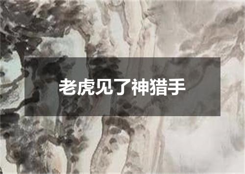 老虎见了神猎手
