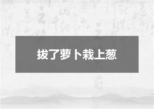 拔了萝卜栽上葱